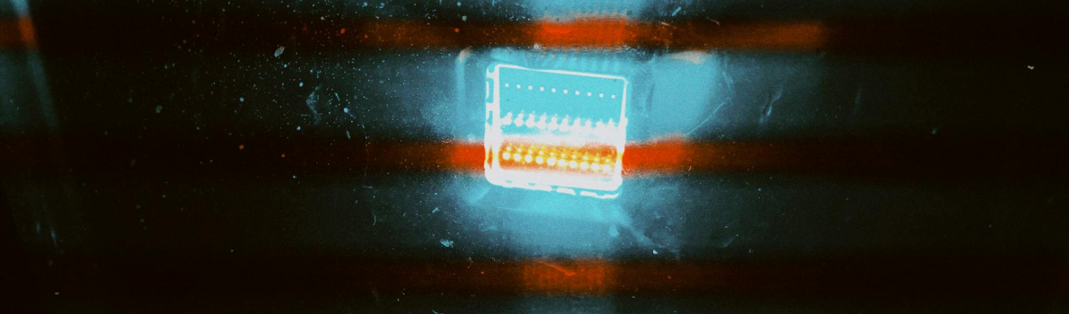 pexels-estela-crln-1702893-6274136